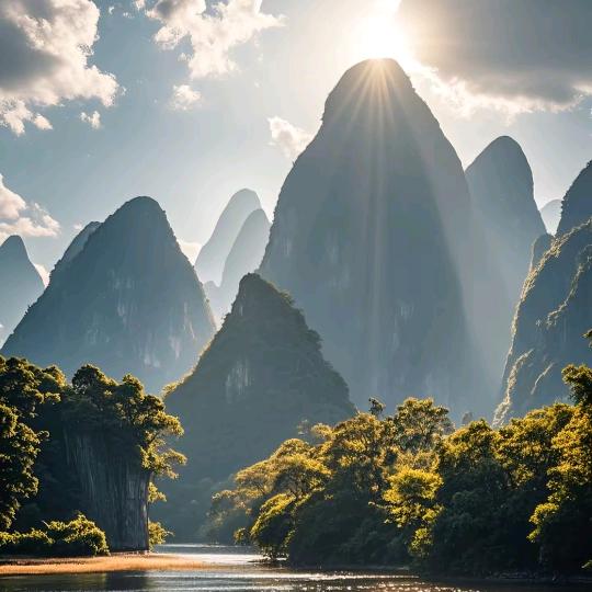 深圳市赤龙ty直播号