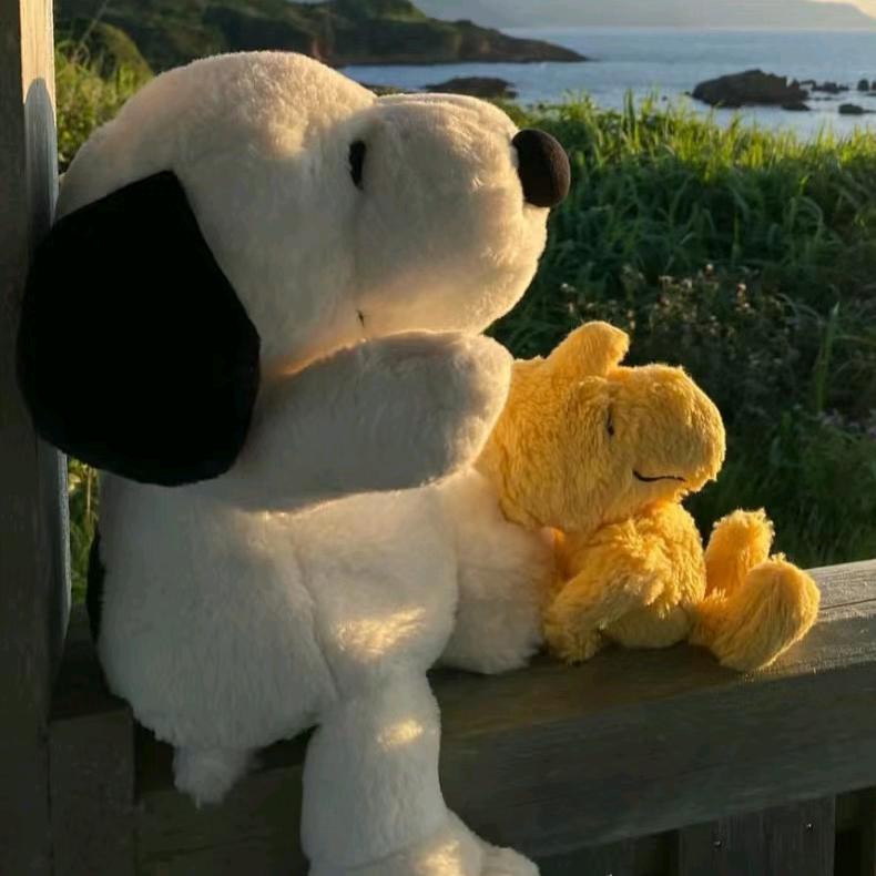 卖女孩的小火柴👾