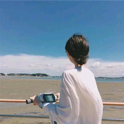 哲哲精选