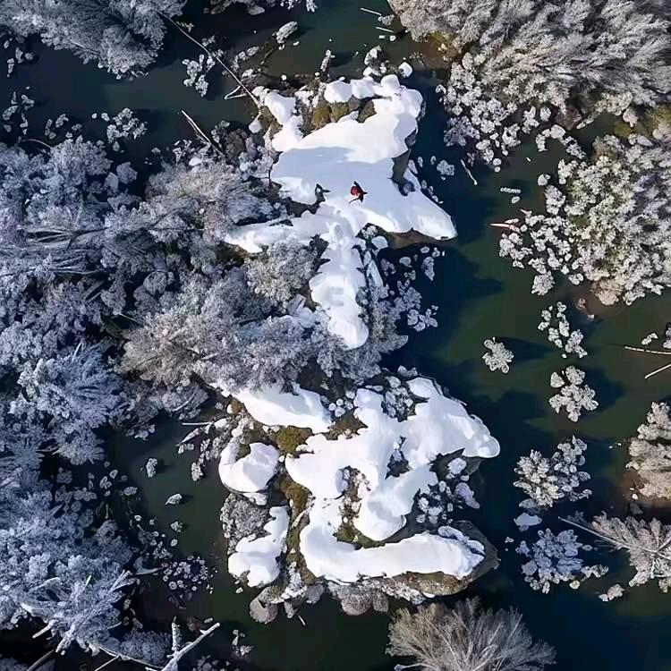 广州青姨*休~木仓~❤