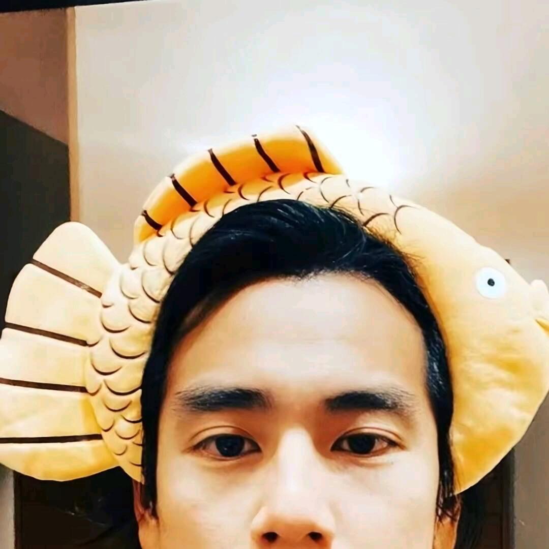 齊罫
