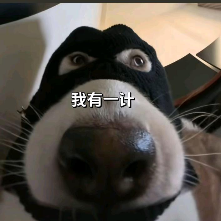 一个过客