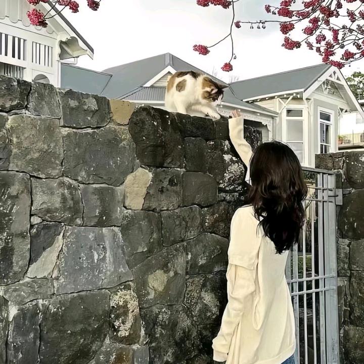 蕴海