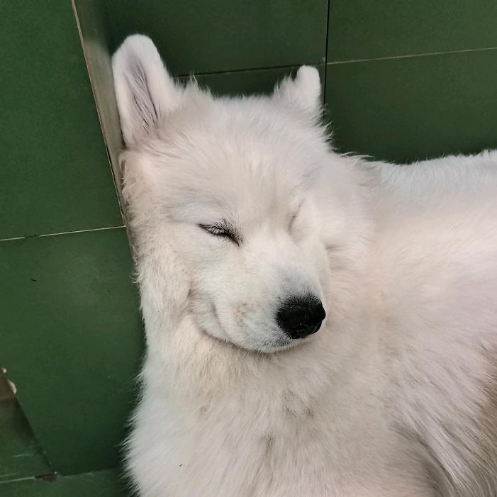不见