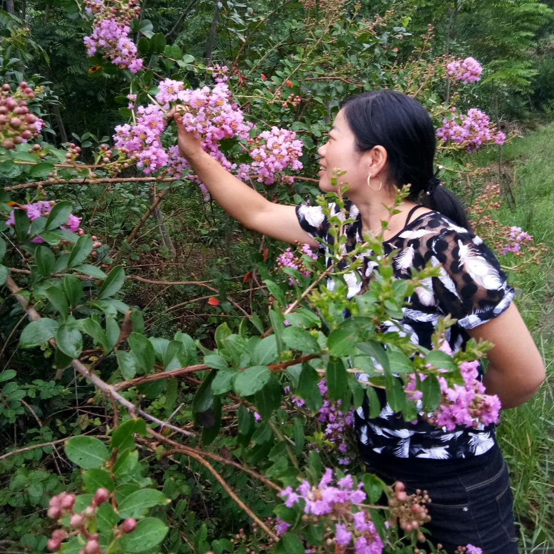李兰花