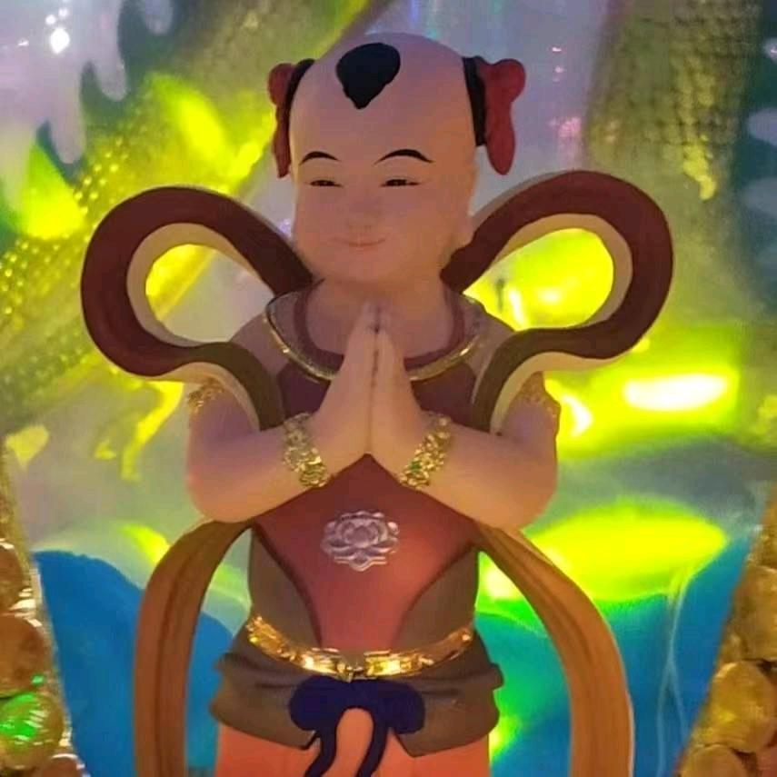 鹏程万里AAAAA