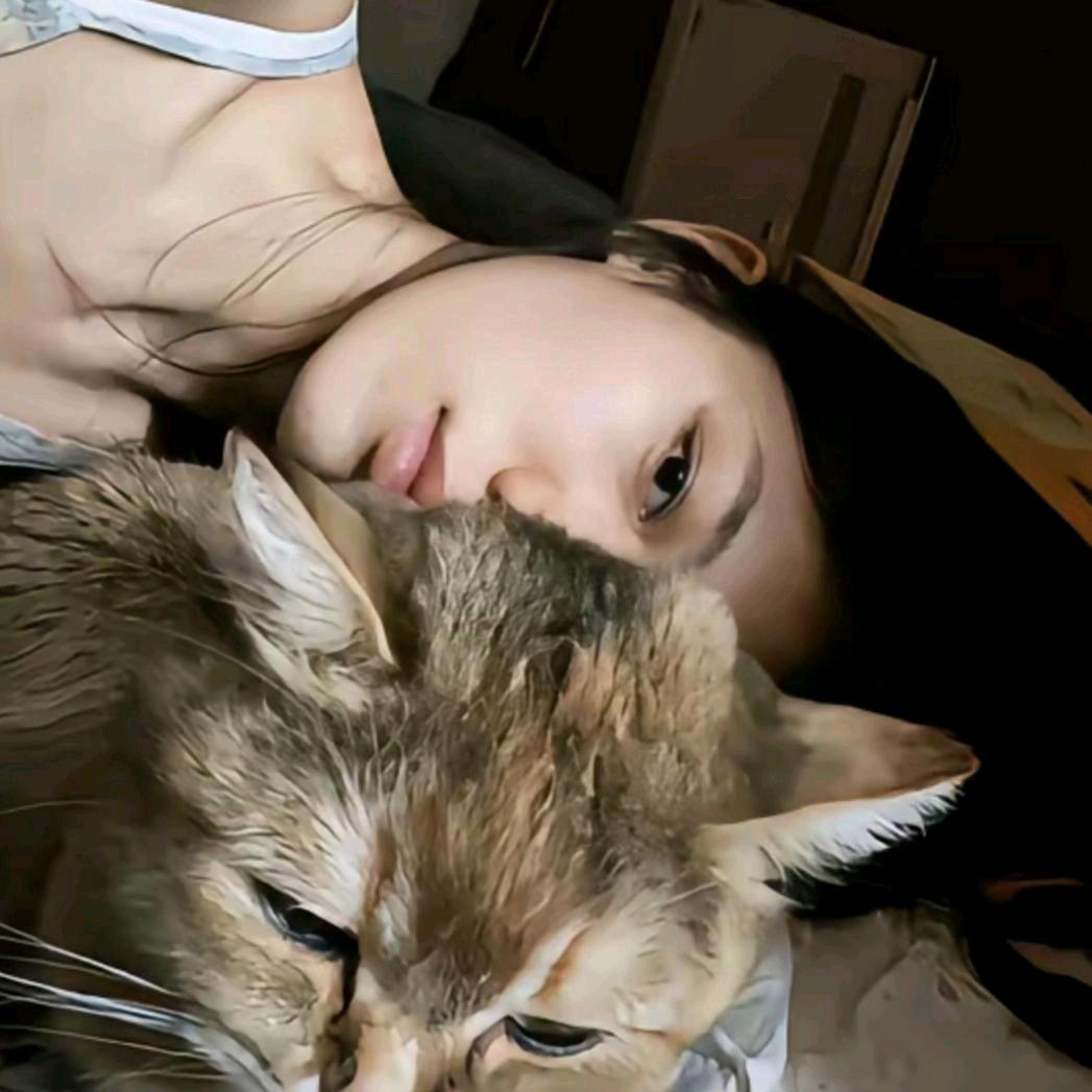 清·¹