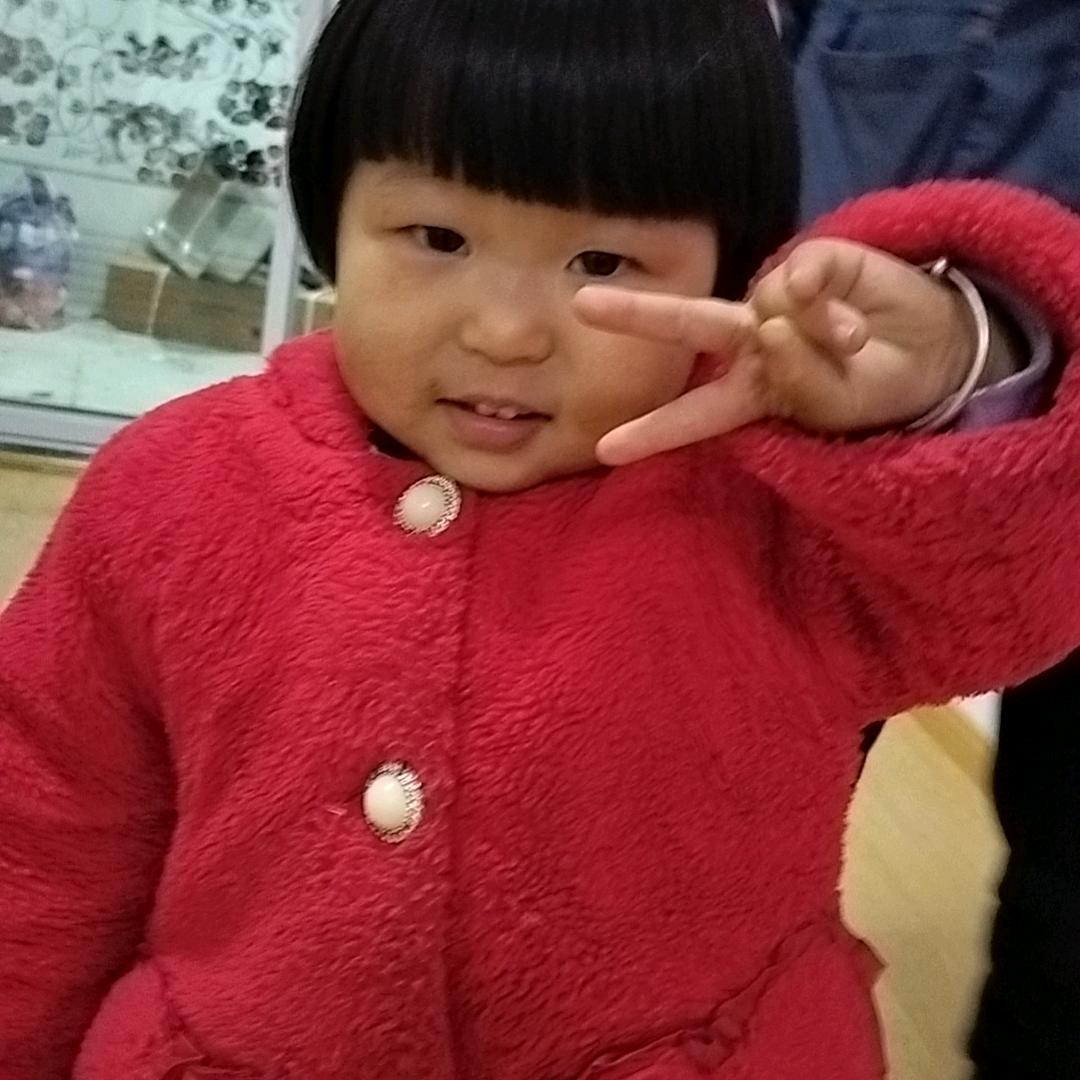 汤姆猫