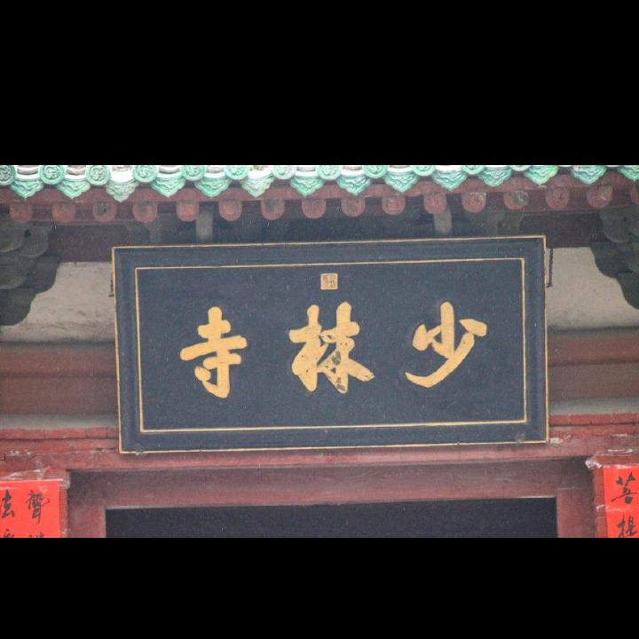 释武霸   素食主义