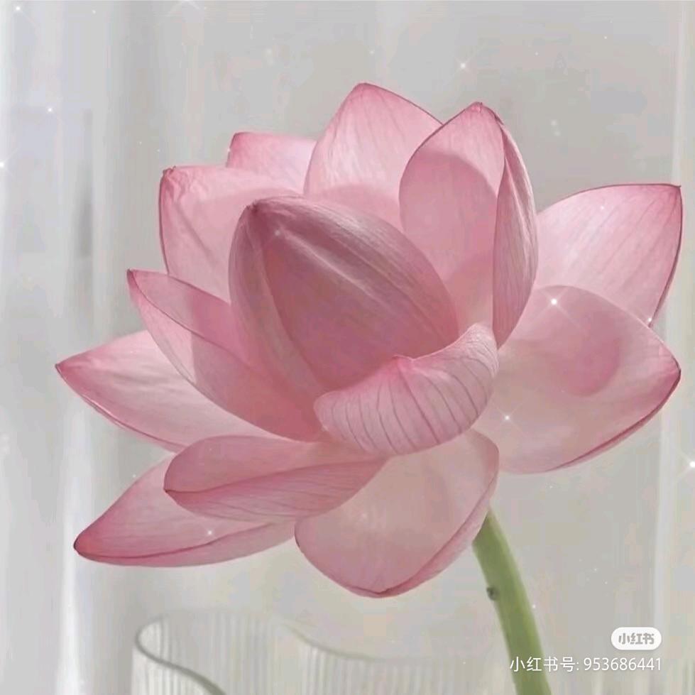 ᥫᩣ水墨丹青