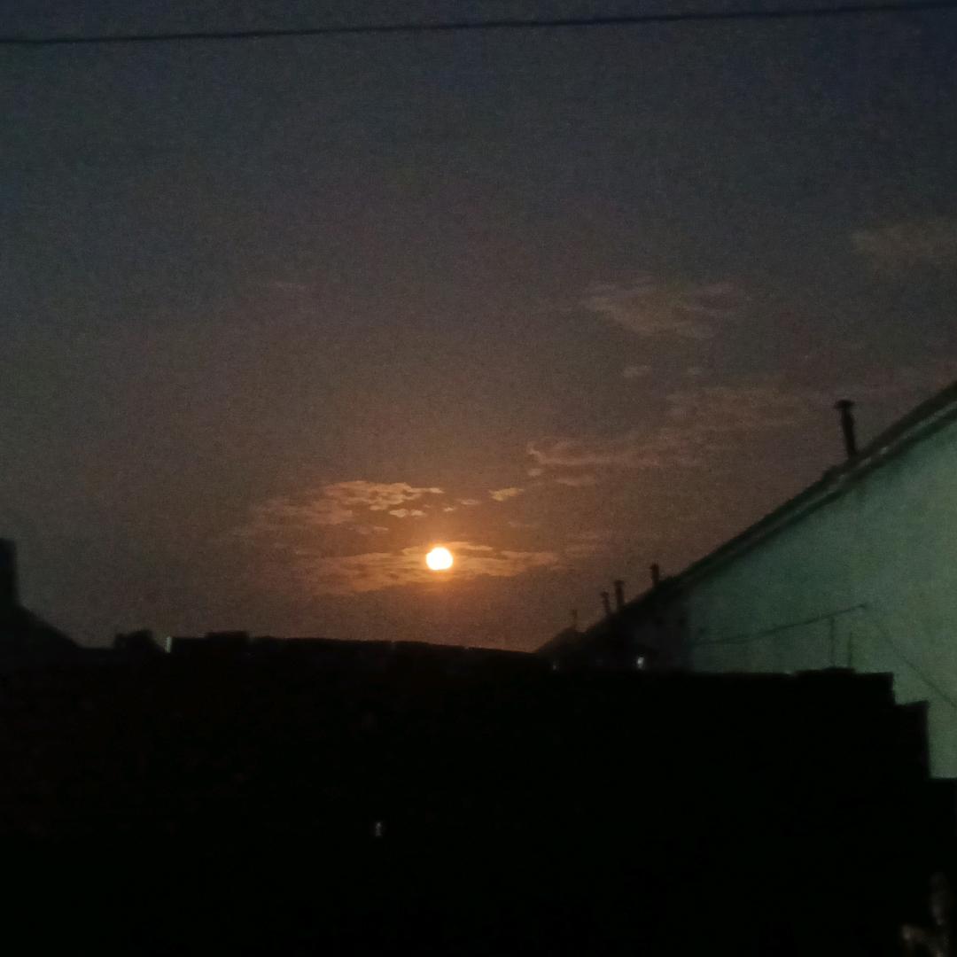 我叫德纲不姓郭