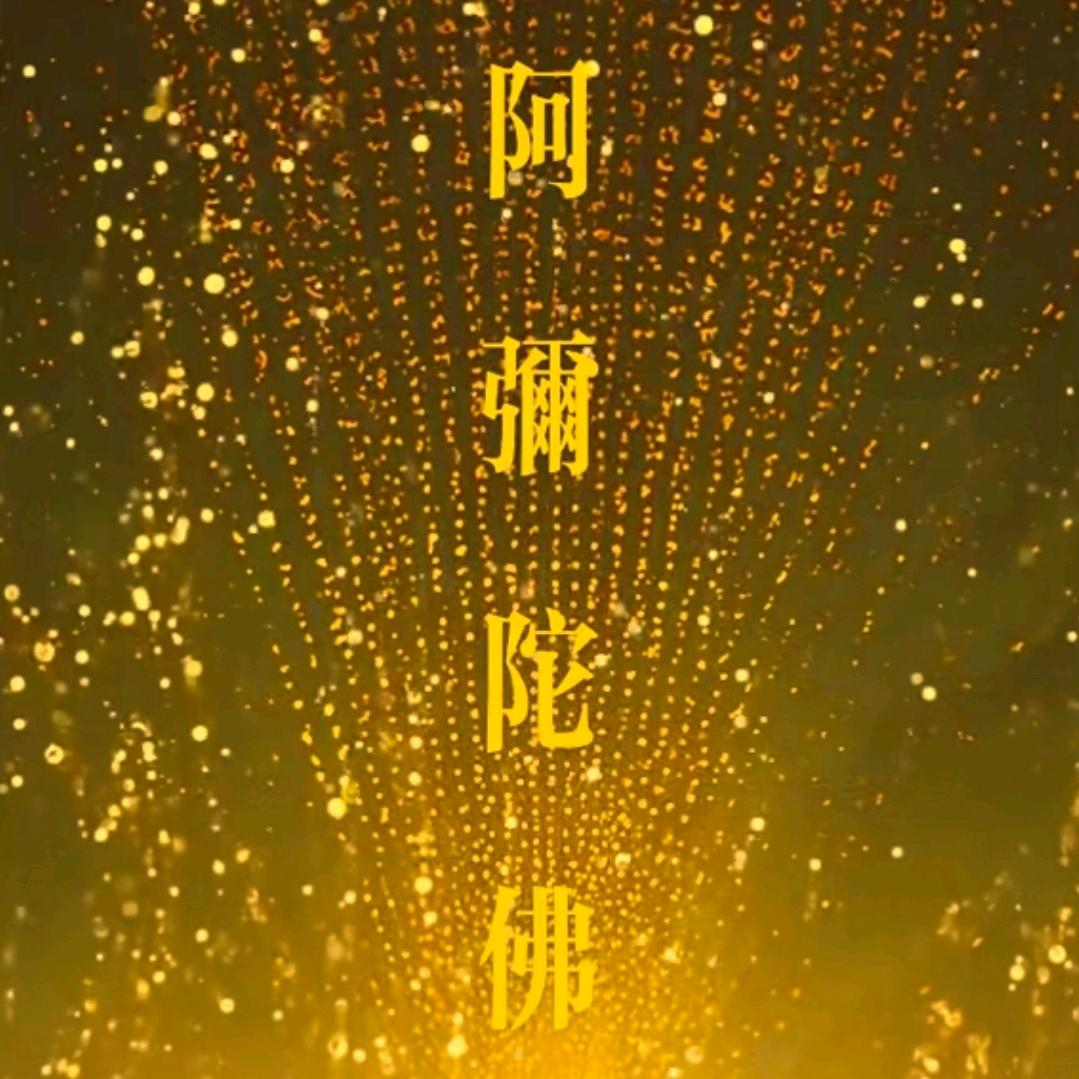 菩提心愿《拒绝私聊》