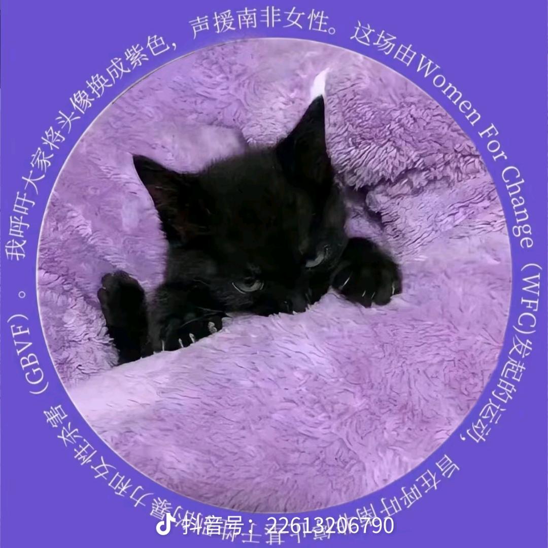 晨曦头像