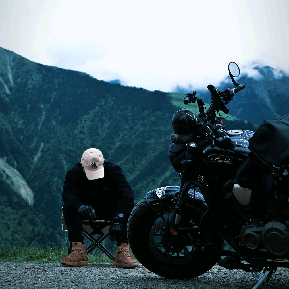 雾都骑士•肖像狮