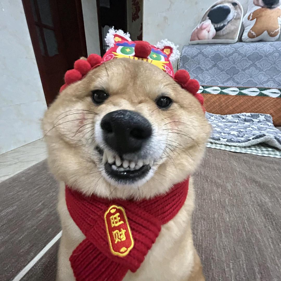 留不早