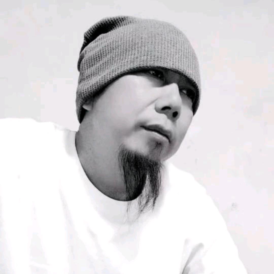 会飞的鱼