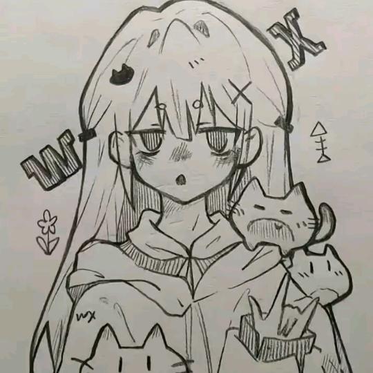 凤