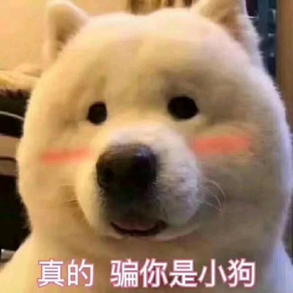 无敌最俊朗