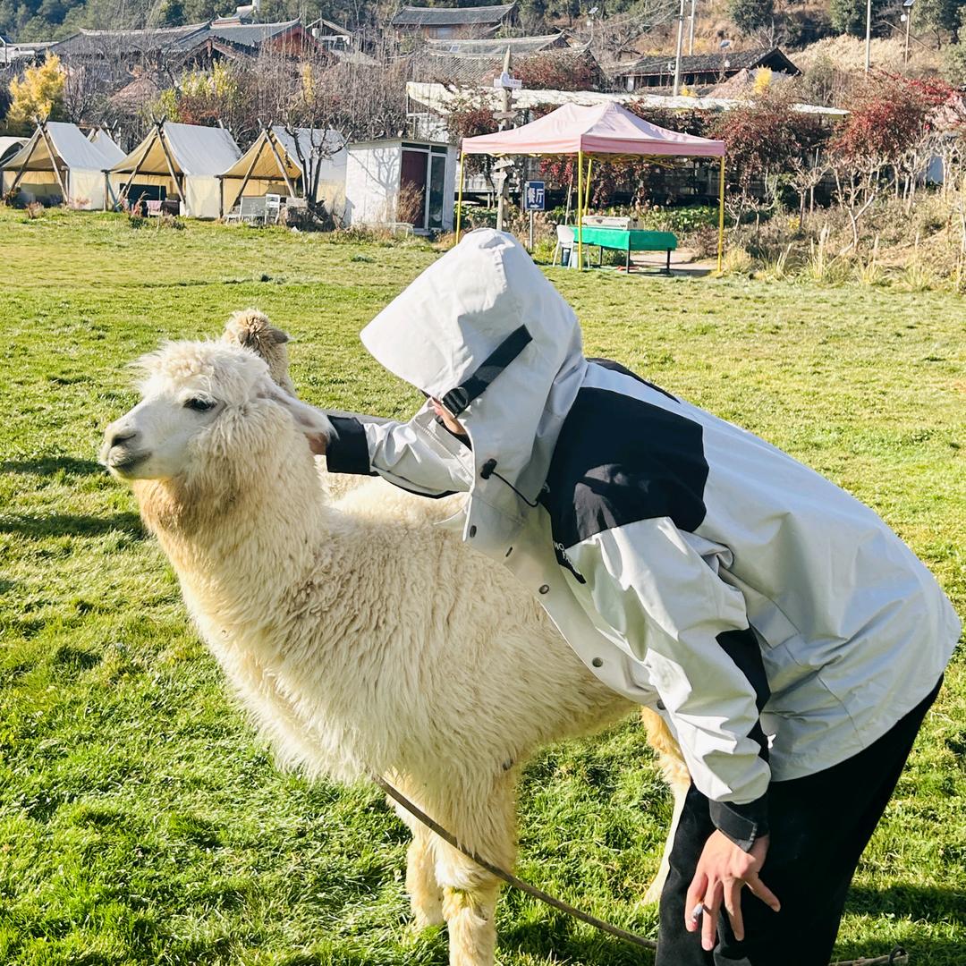 昆明大禹水电团队顾飞