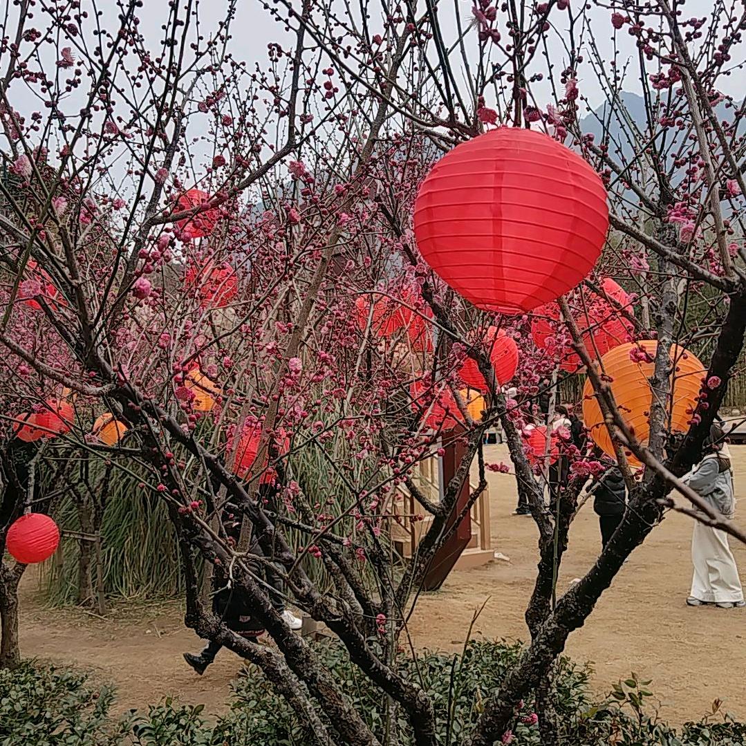 狠心角色