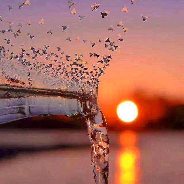 摆摊日记（天天）