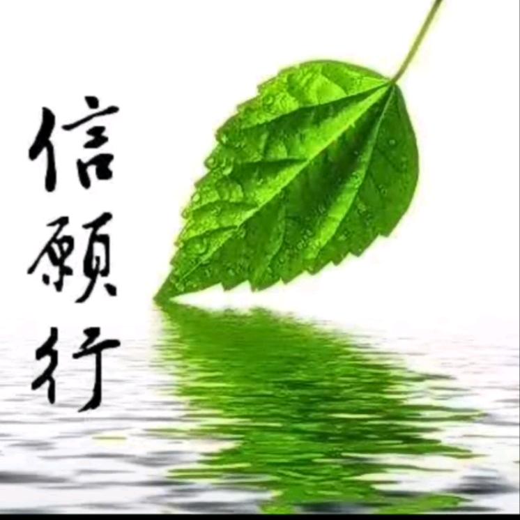 悉达