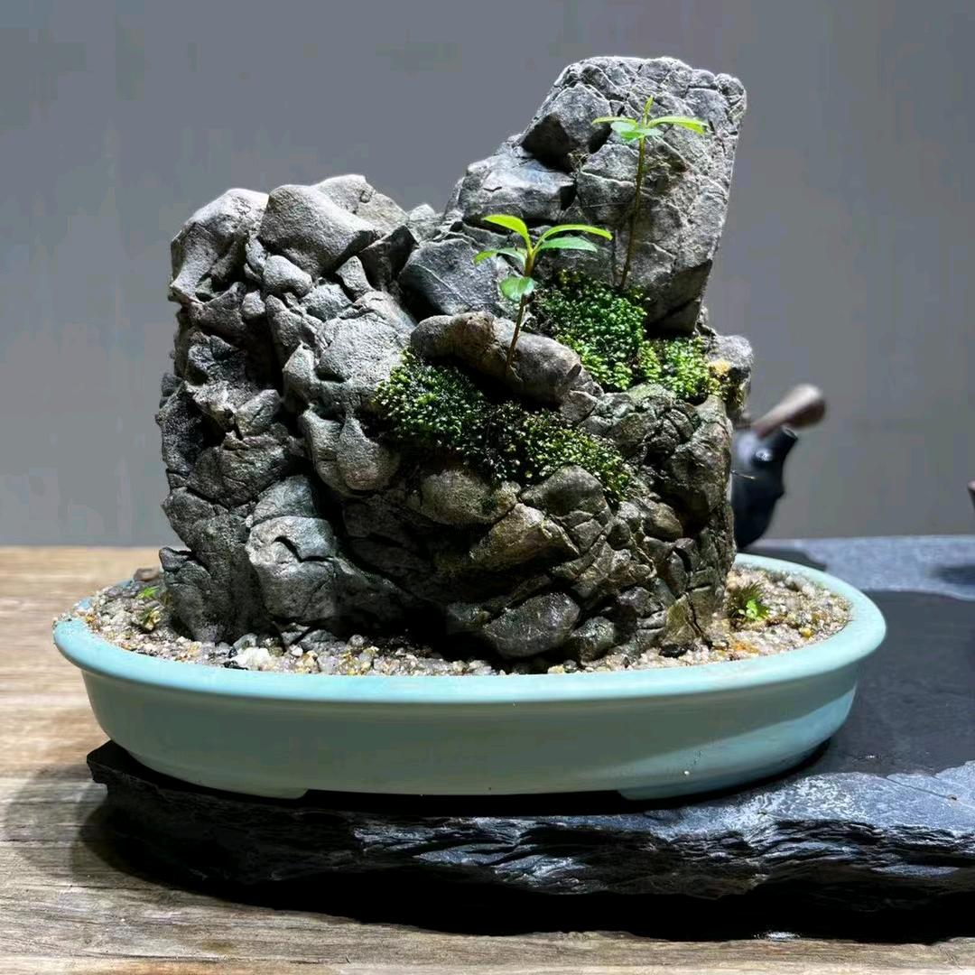 我姓刘你可以不留