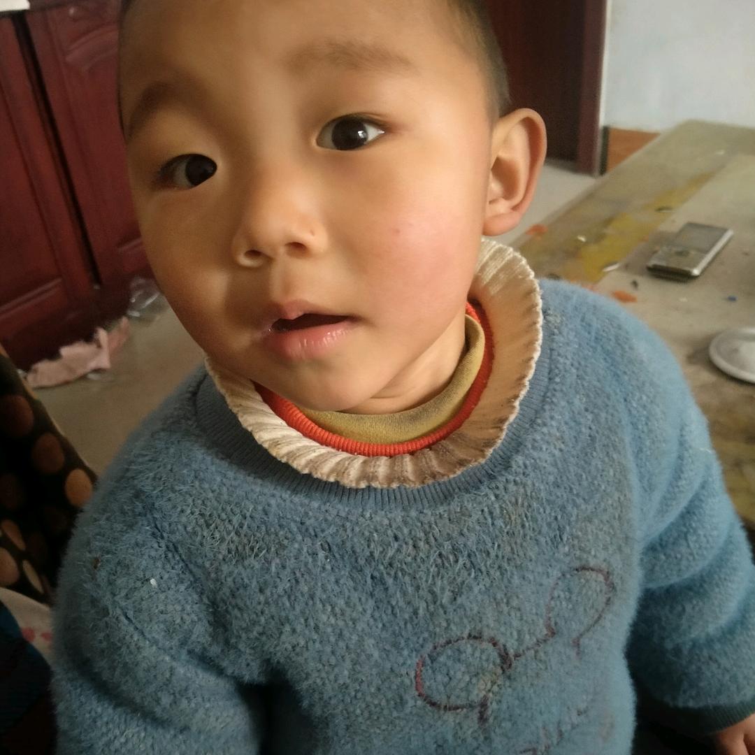 北斗星
