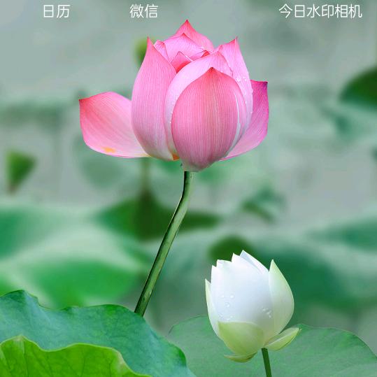 德在铭至