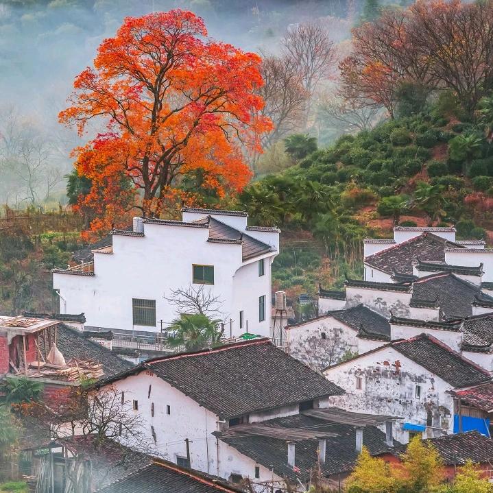 👣小陈同学