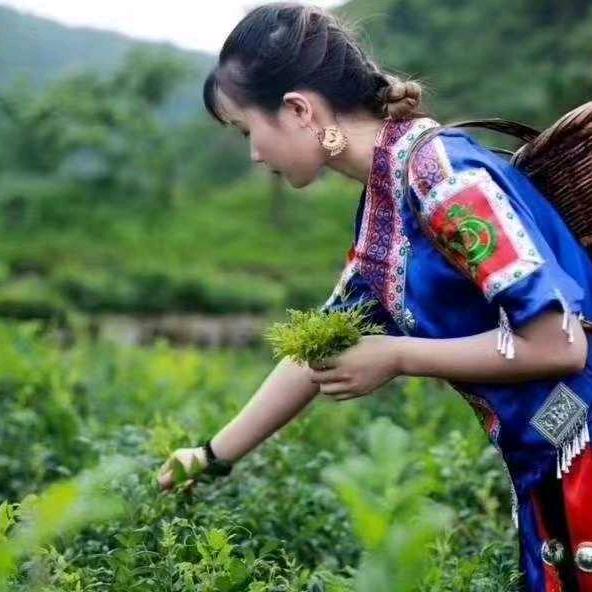 潍城区南关上好韵茶行