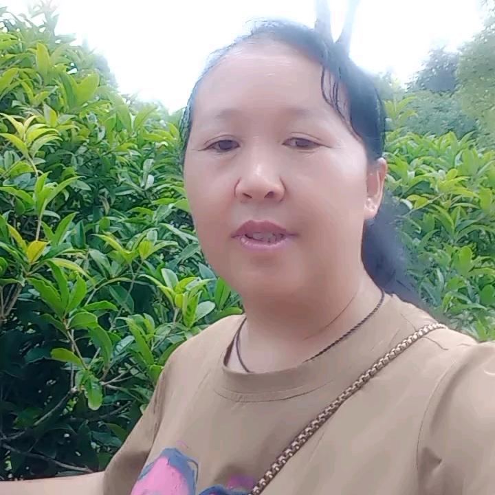 李会