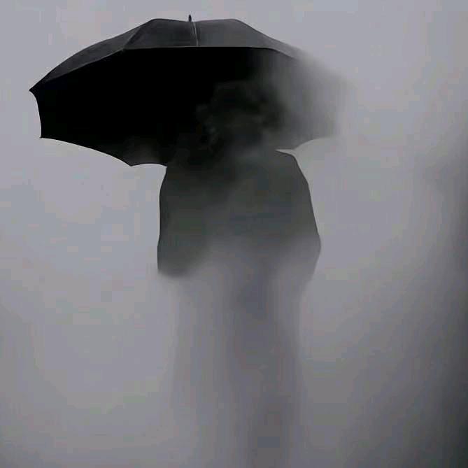 只会踢腿的茄