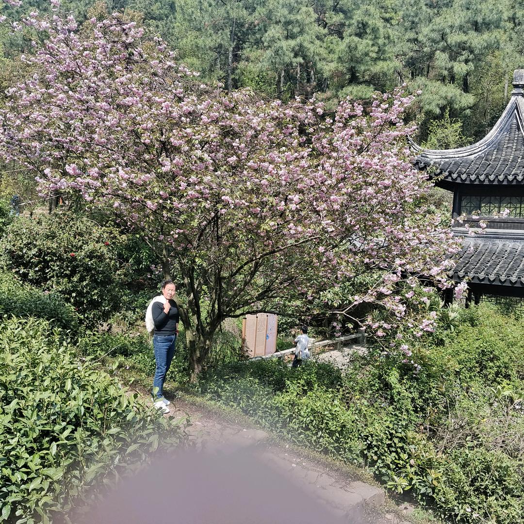 常常喜乐。