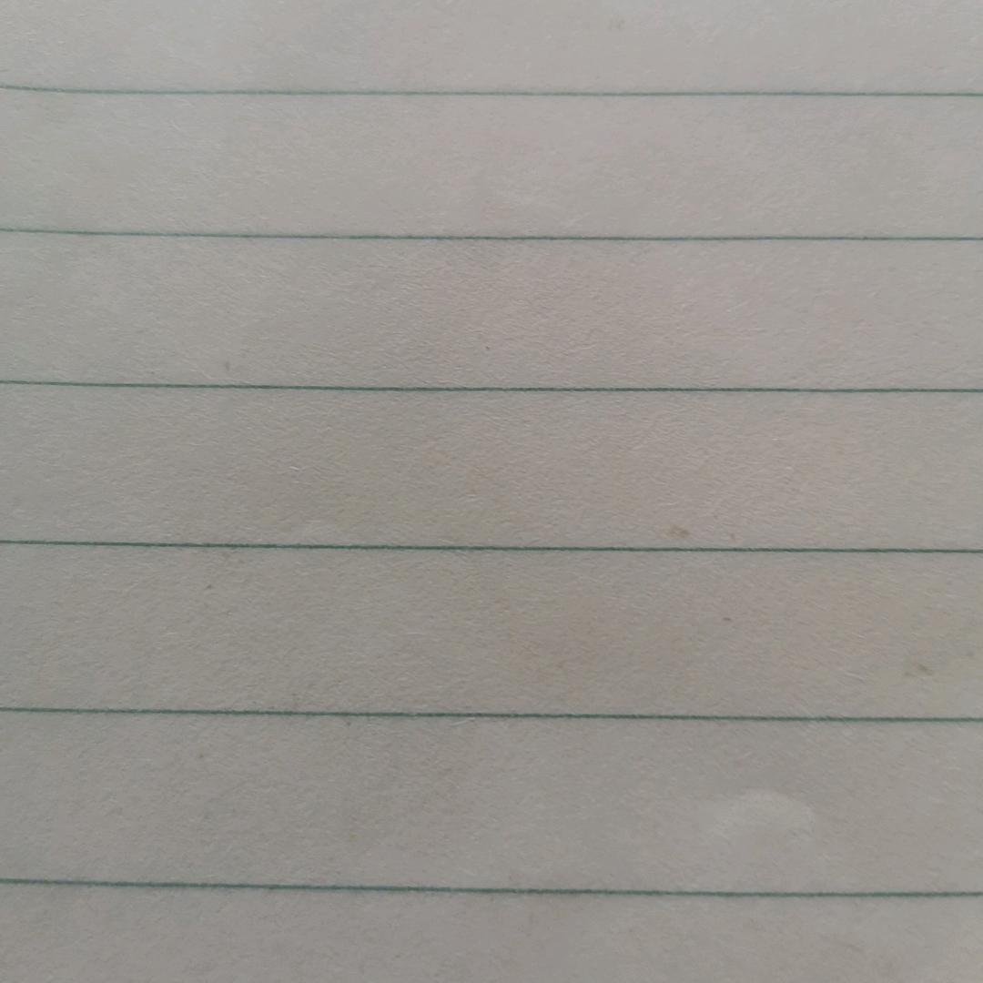 一个小鸭