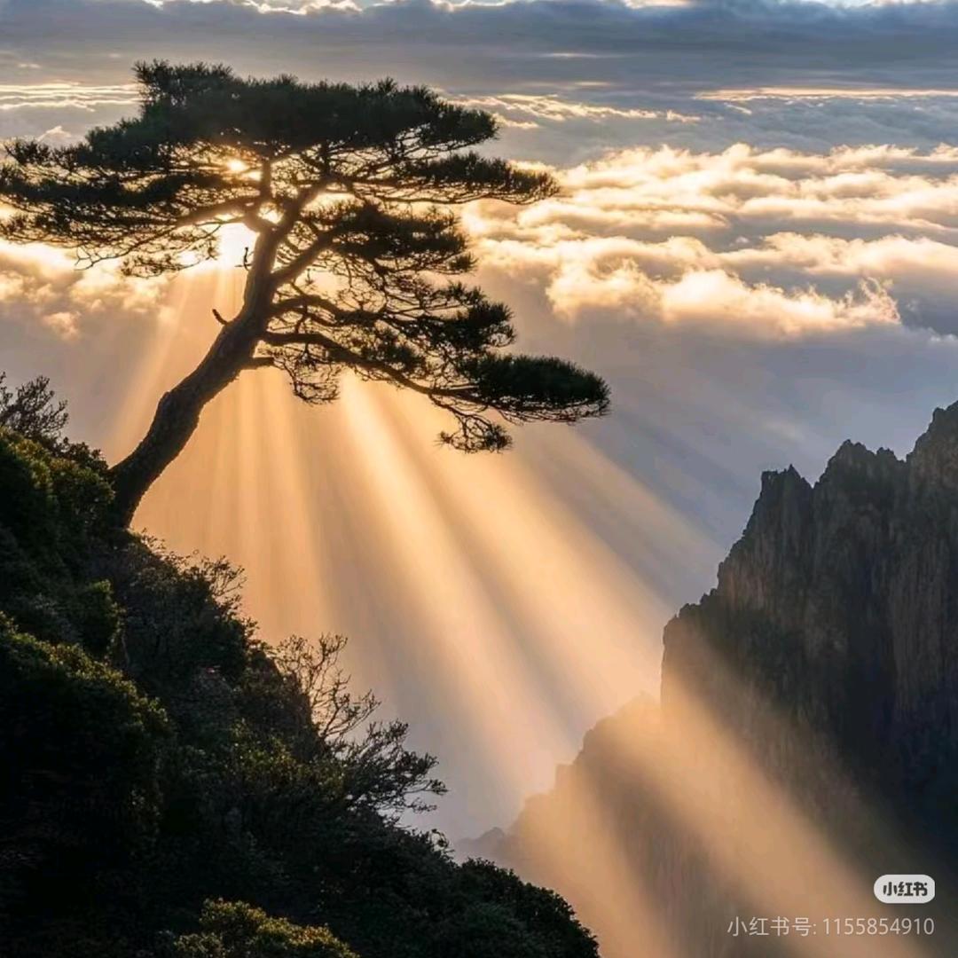 AAA钢材批发莫哥