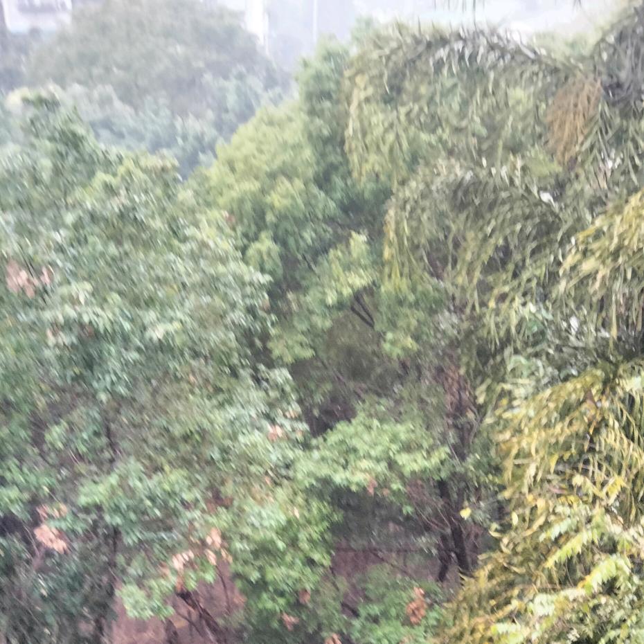 永不等待