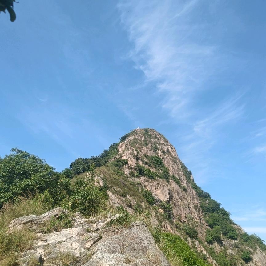 我要赌气旺旺