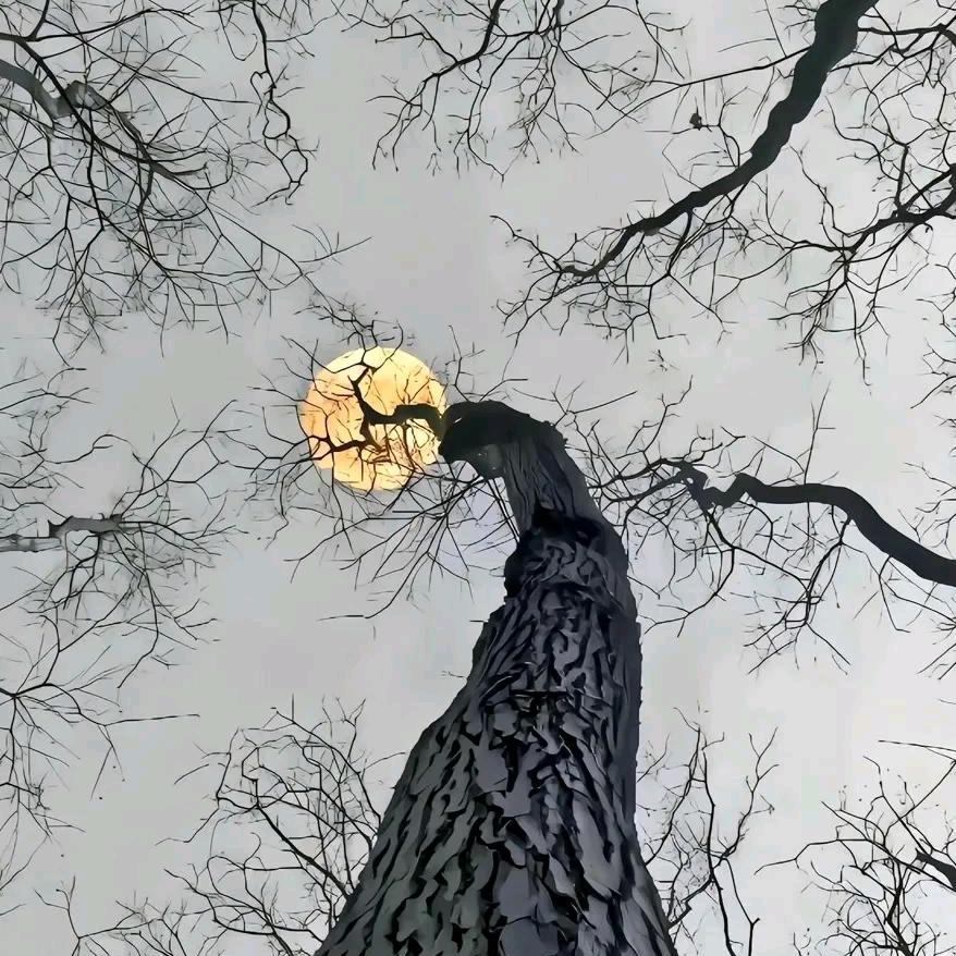 魏炜.