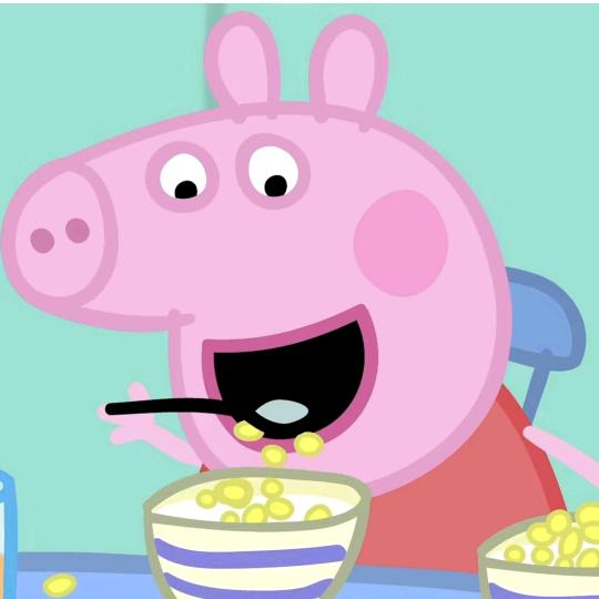 🐷 野猪佩奇奇