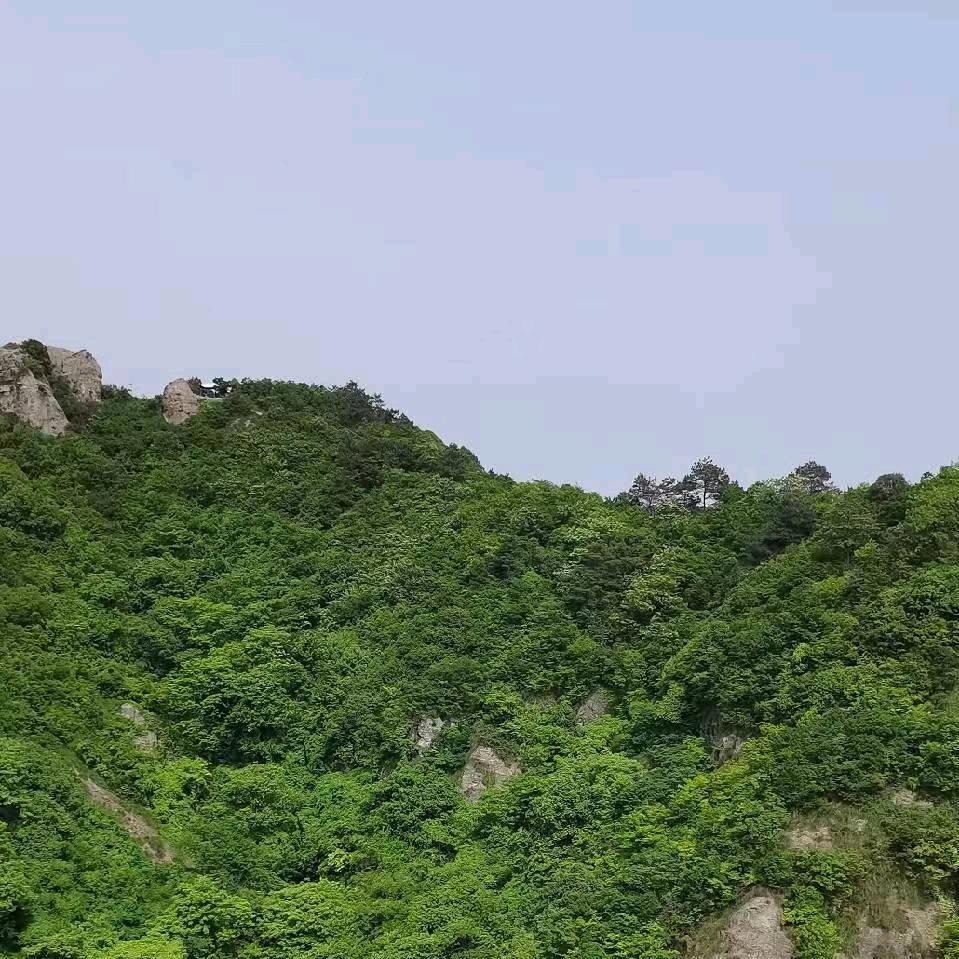 镜湖区永春家纺店