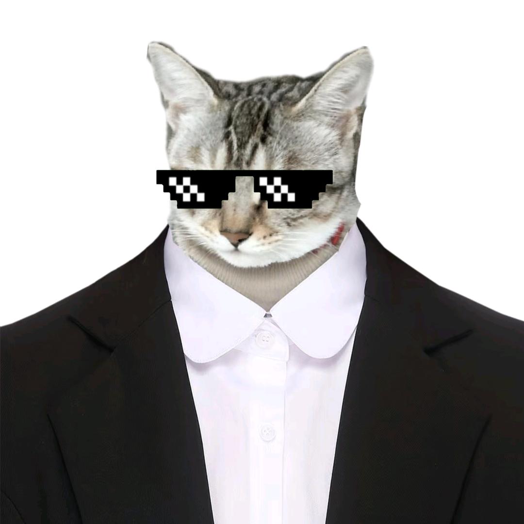 我叫咪少你记住