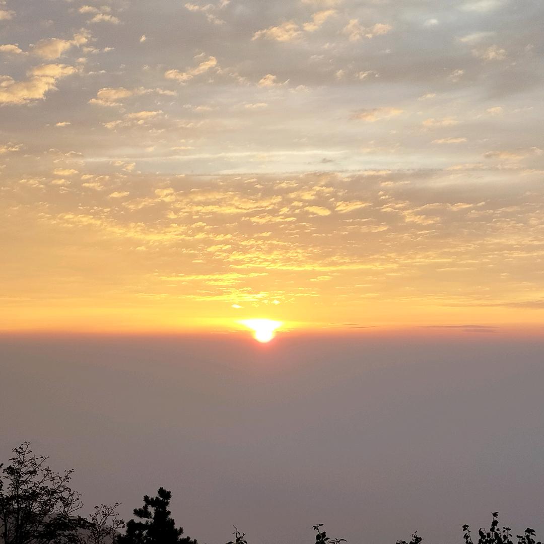 陆瑾年