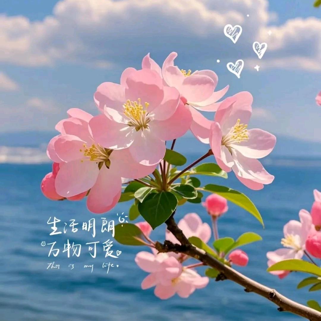 婷婷零食铺