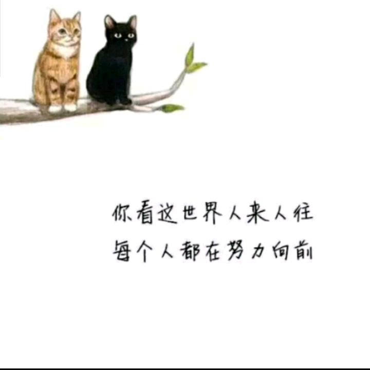 余🐟钱💵剩💰米🍚