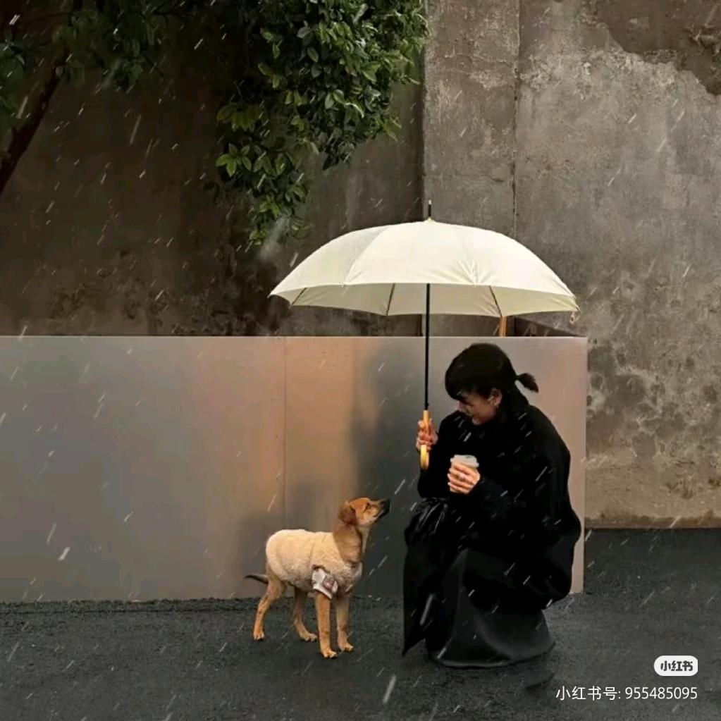 我想要两颗西柚-