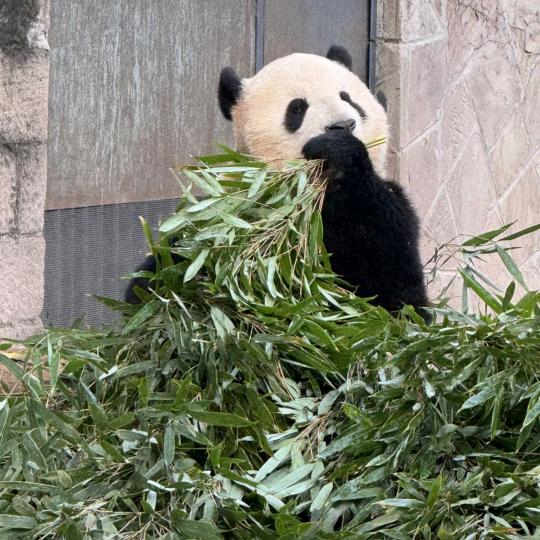 红月带你一起吃喝玩乐