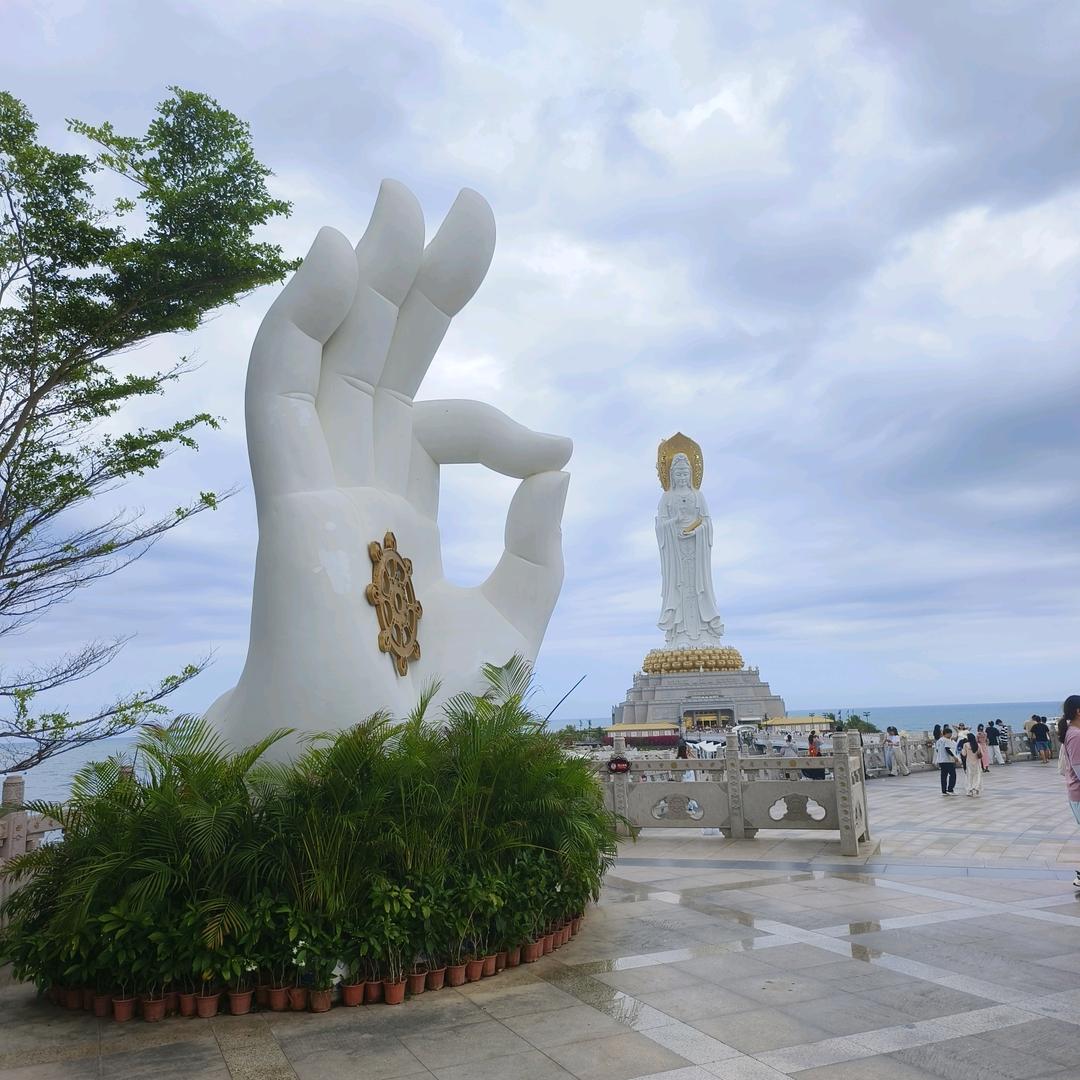 梨花溅雨意笙歌