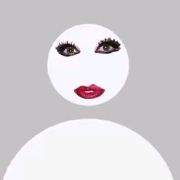 拉链☄