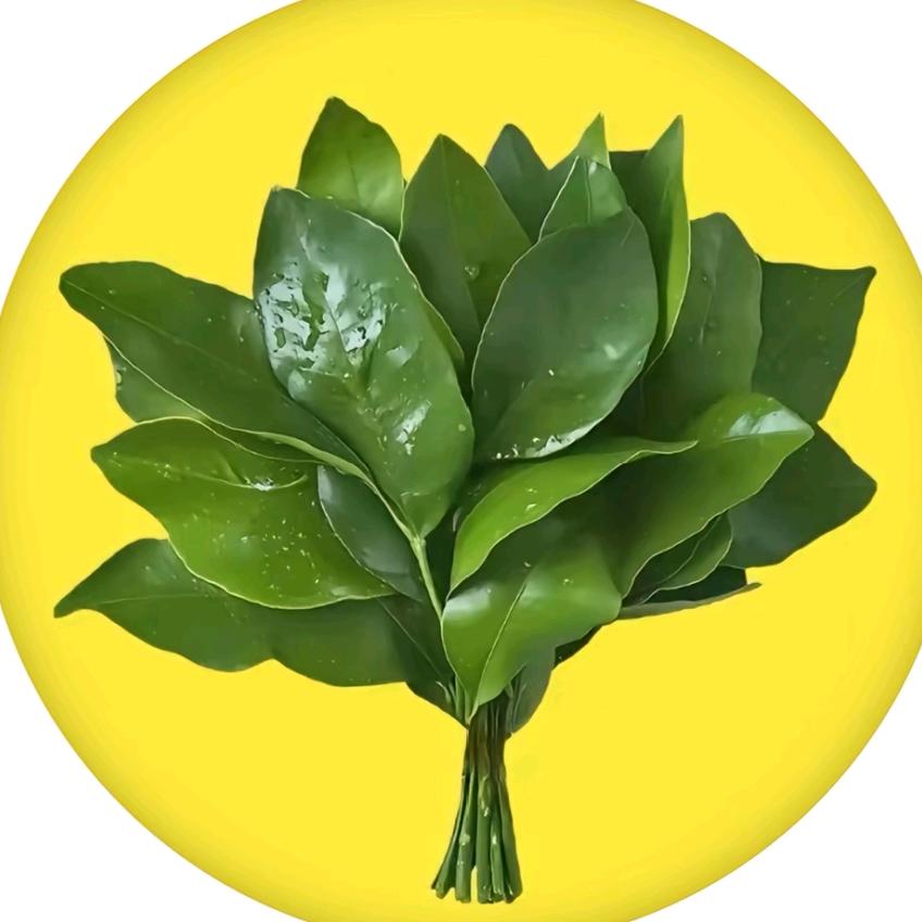 直播高货推荐